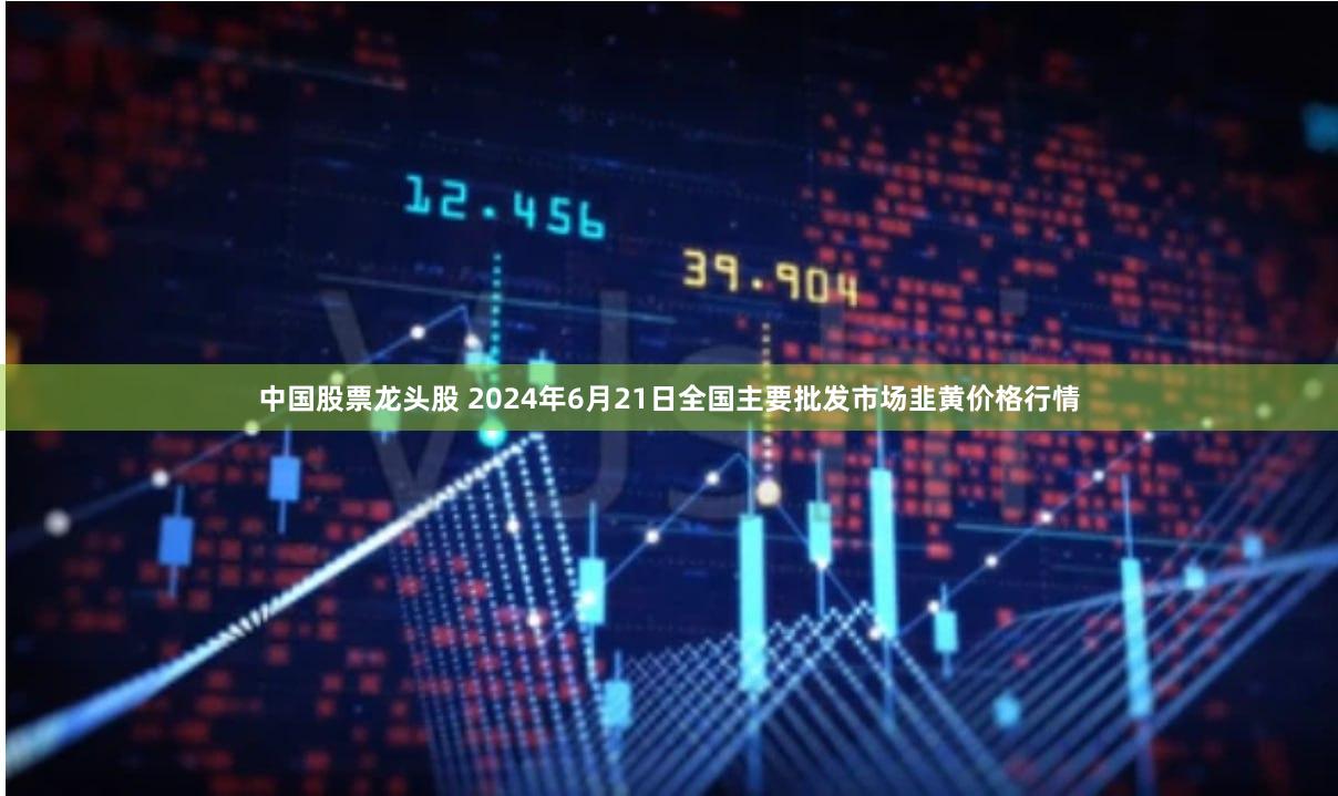 中国股票龙头股 2024年6月21日全国主要批发市场韭黄价格行情