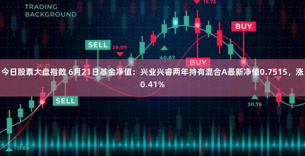 今日股票大盘指数 6月21日基金净值：兴业兴睿两年持有混合A最新净值0.7515，涨0.41%