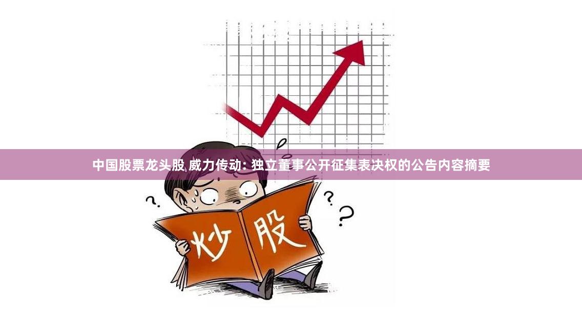 中国股票龙头股 威力传动: 独立董事公开征集表决权的公告内容摘要