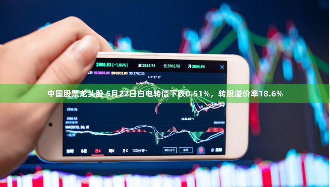 中国股票龙头股 5月22日白电转债下跌0.51%，转股溢价率18.6%
