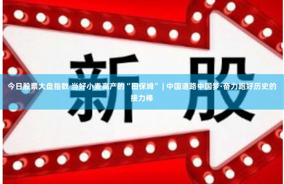 今日股票大盘指数 当好小麦高产的“田保姆” | 中国道路中国梦·奋力跑好历史的接力棒