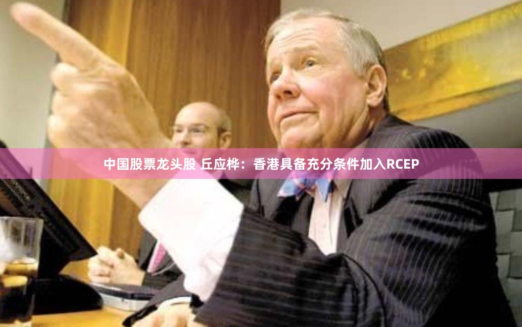 中国股票龙头股 丘应桦：香港具备充分条件加入RCEP