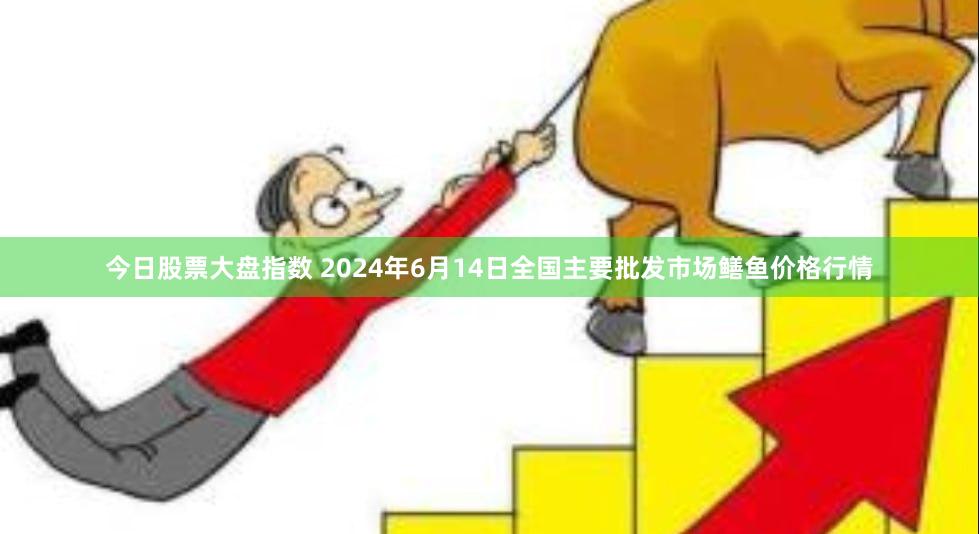 今日股票大盘指数 2024年6月14日全国主要批发市场鳝鱼价格行情