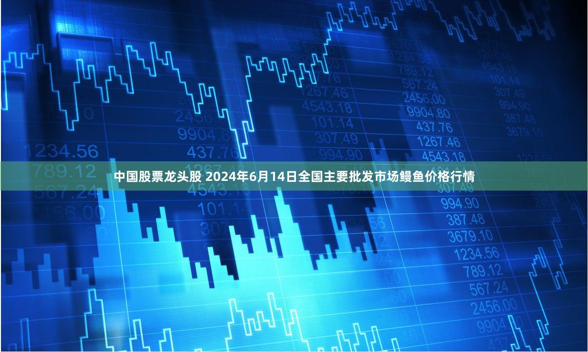 中国股票龙头股 2024年6月14日全国主要批发市场鳗鱼价格行情