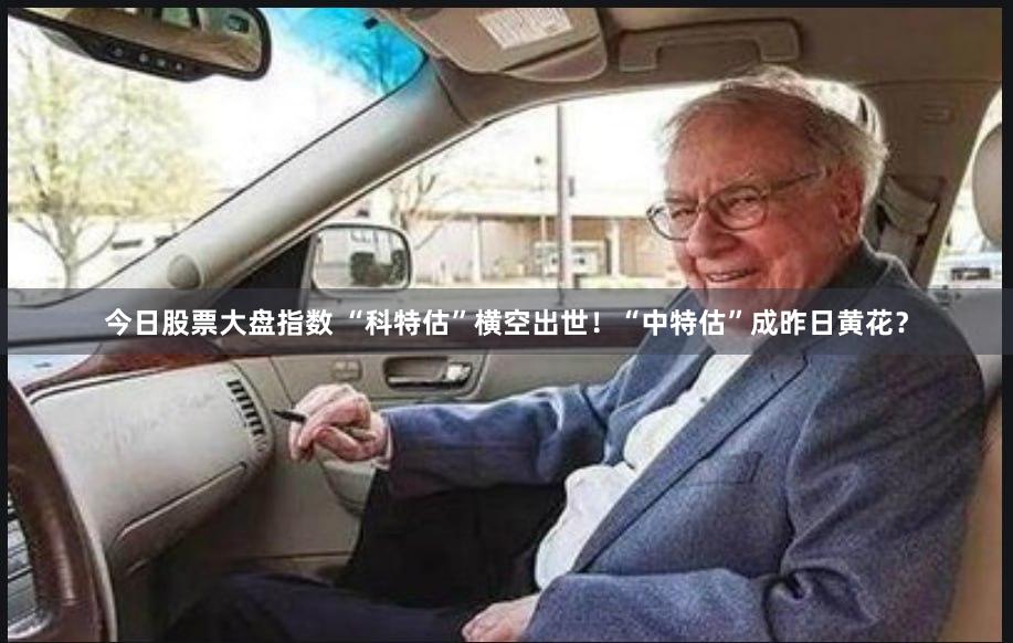 今日股票大盘指数 “科特估”横空出世！“中特估”成昨日黄花？