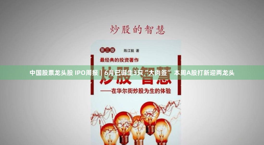 中国股票龙头股 IPO周报｜6月已诞生3只“大肉签” 本周A股打新迎两龙头