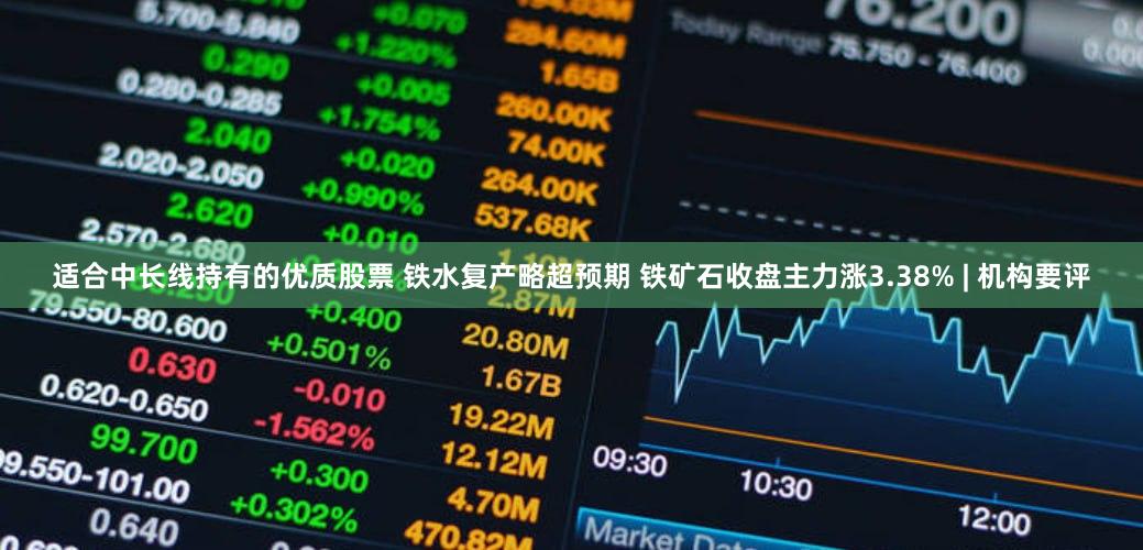 适合中长线持有的优质股票 铁水复产略超预期 铁矿石收盘主力涨3.38% | 机构要评