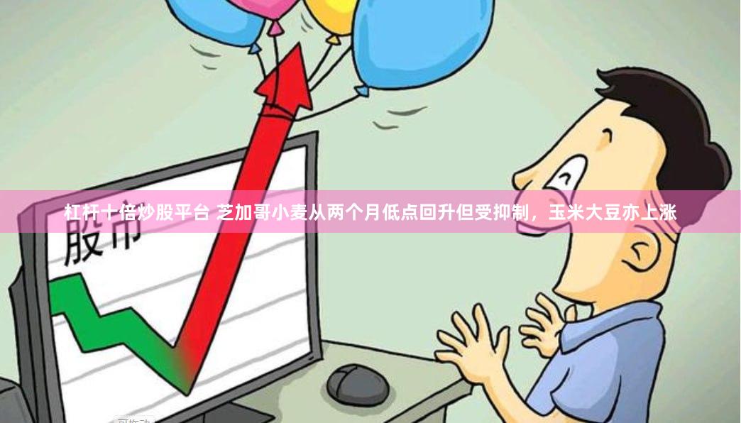 杠杆十倍炒股平台 芝加哥小麦从两个月低点回升但受抑制，玉米大豆亦上涨