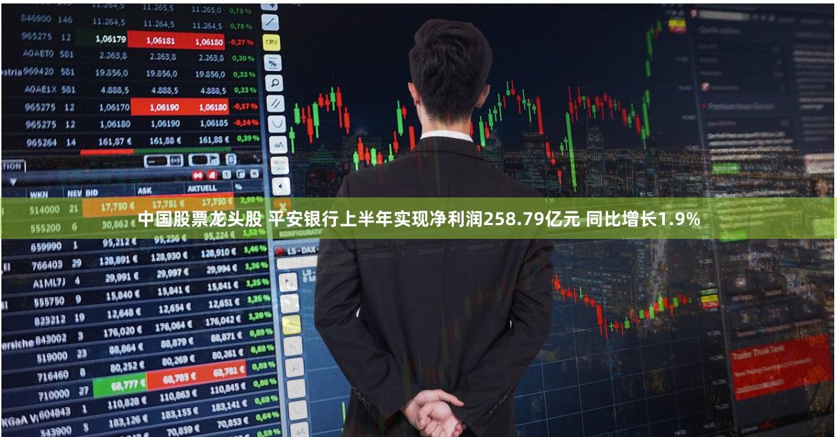 中国股票龙头股 平安银行上半年实现净利润258.79亿元 同比增长1.9%