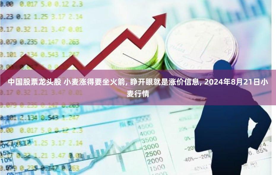中国股票龙头股 小麦涨得要坐火箭, 睁开眼就是涨价信息, 2024年8月21日小麦行情