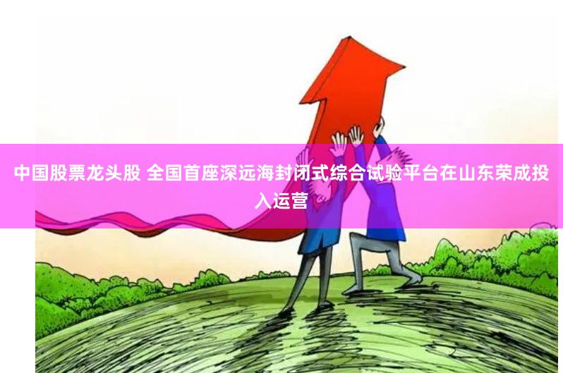 中国股票龙头股 全国首座深远海封闭式综合试验平台在山东荣成投入运营