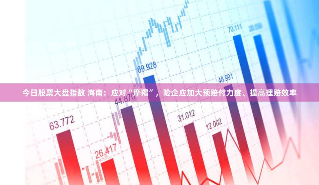 今日股票大盘指数 海南：应对“摩羯”，险企应加大预赔付力度、提高理赔效率