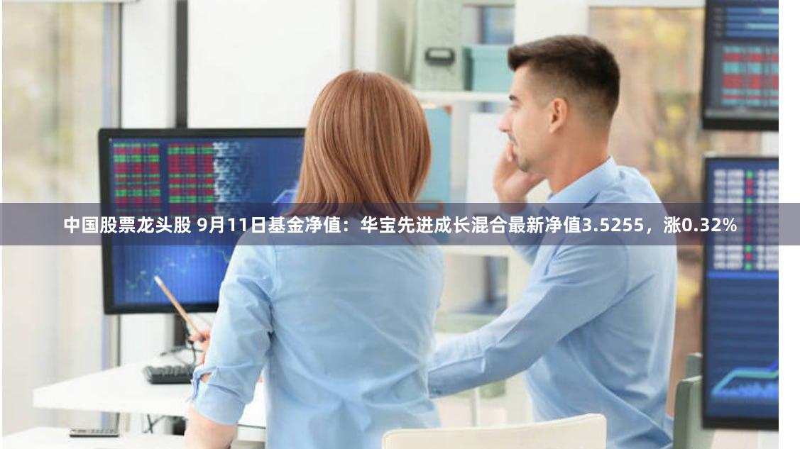中国股票龙头股 9月11日基金净值：华宝先进成长混合最新净值3.5255，涨0.32%