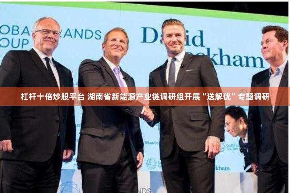 杠杆十倍炒股平台 湖南省新能源产业链调研组开展“送解优”专题调研