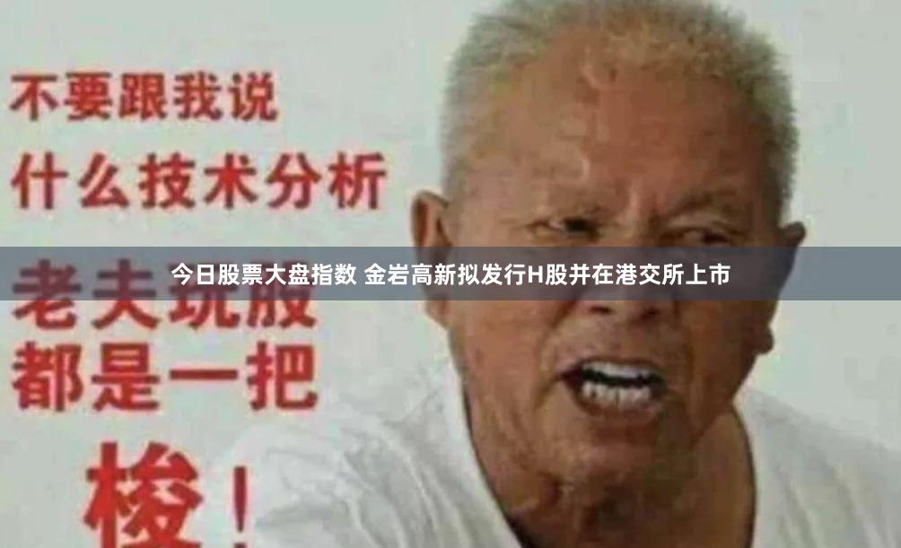 今日股票大盘指数 金岩高新拟发行H股并在港交所上市