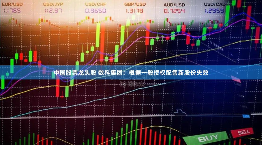 中国股票龙头股 数科集团：根据一般授权配售新股份失效