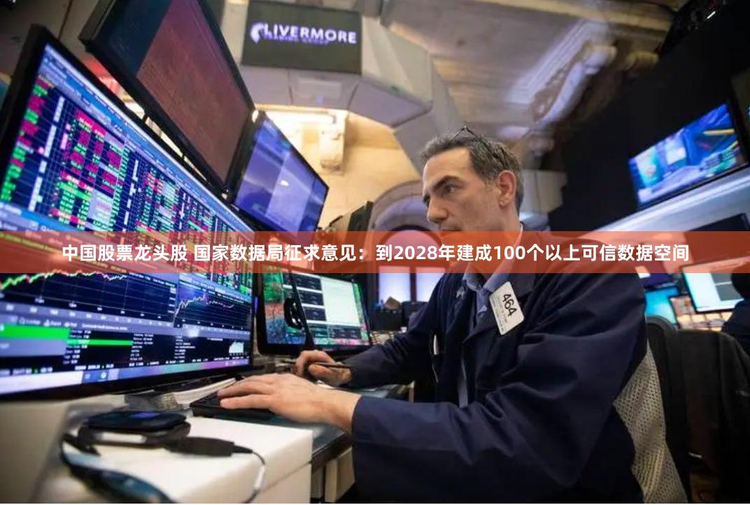 中国股票龙头股 国家数据局征求意见：到2028年建成100个以上可信数据空间