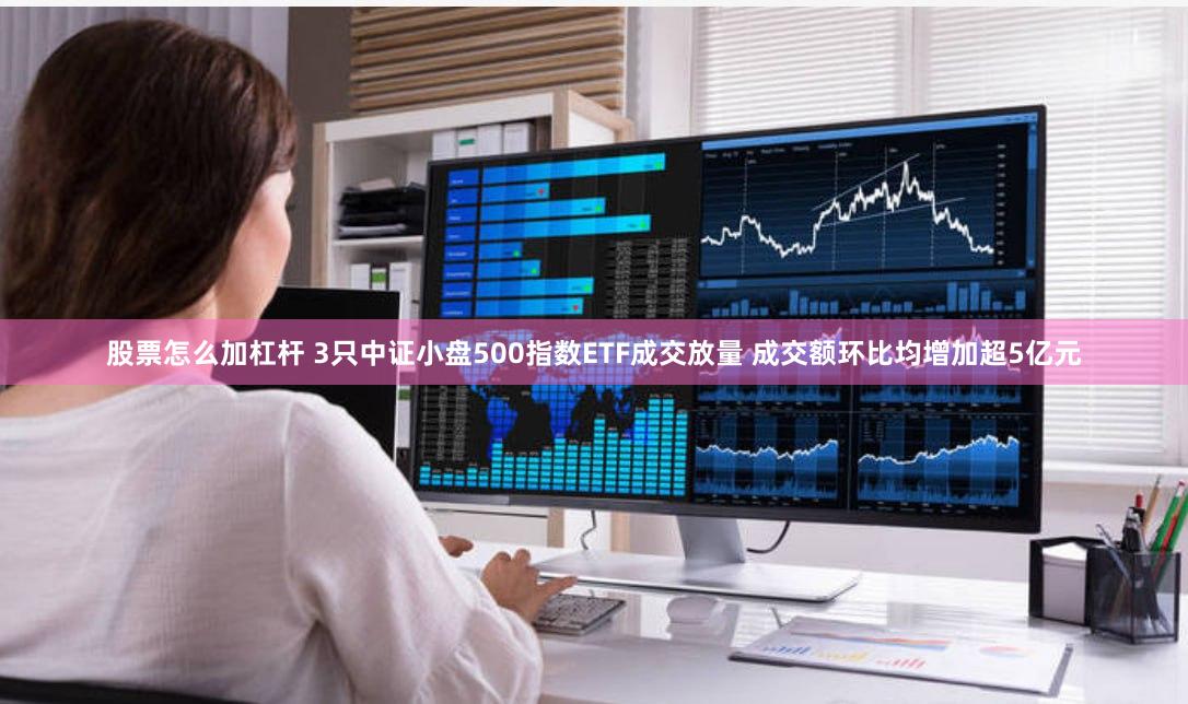 股票怎么加杠杆 3只中证小盘500指数ETF成交放量 成交额环比均增加超5亿元