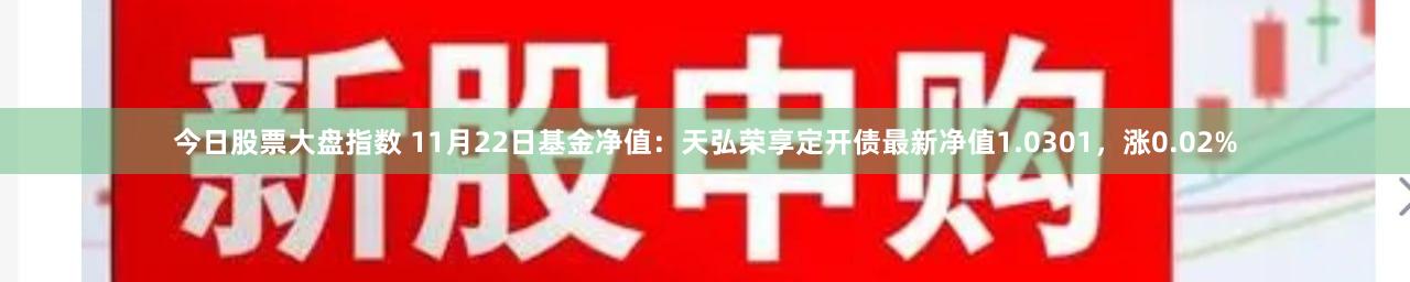今日股票大盘指数 11月22日基金净值：天弘荣享定开债最新净值1.0301，涨0.02%