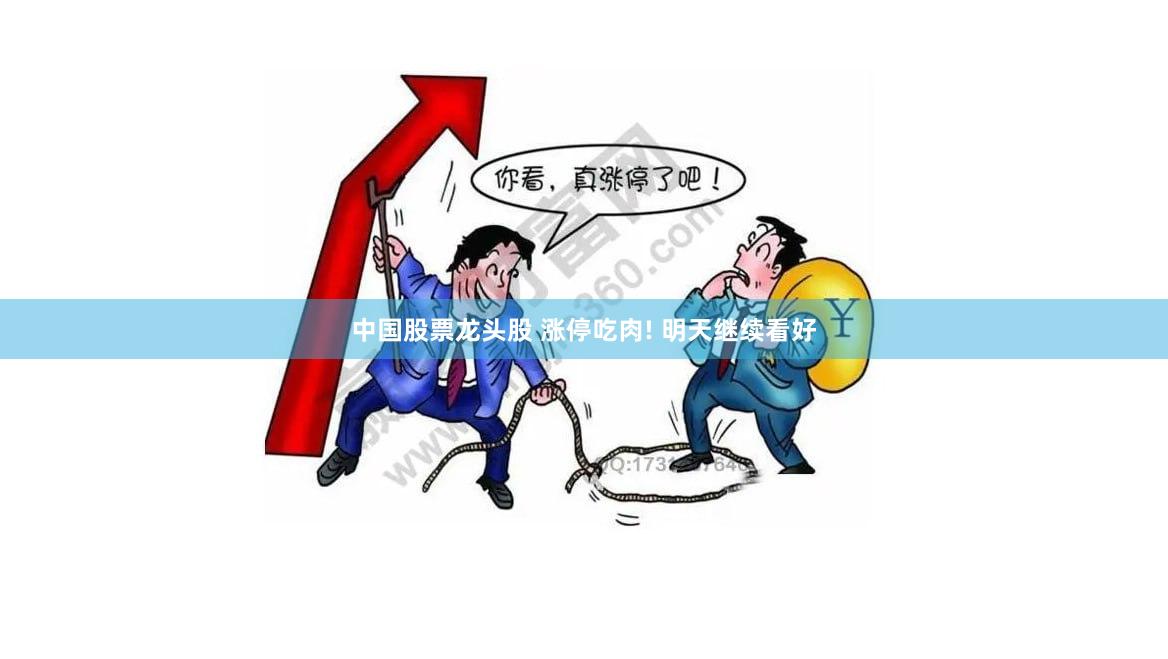 中国股票龙头股 涨停吃肉! 明天继续看好