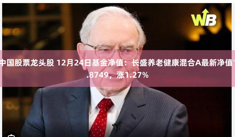 中国股票龙头股 12月24日基金净值：长盛养老健康混合A最新净值1.8749，涨1.27%
