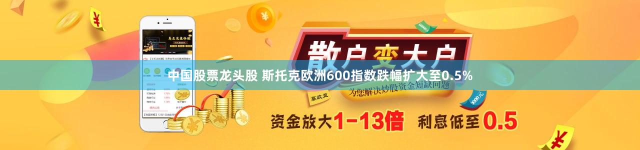 中国股票龙头股 斯托克欧洲600指数跌幅扩大至0.5%