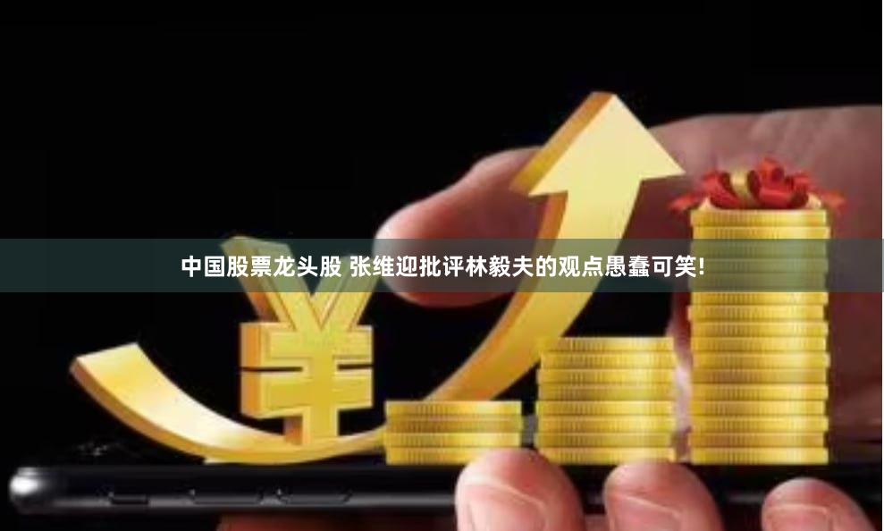 中国股票龙头股 张维迎批评林毅夫的观点愚蠢可笑!