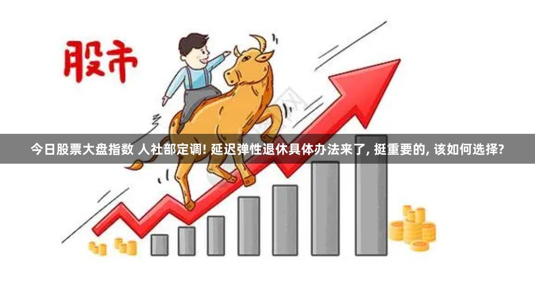 今日股票大盘指数 人社部定调! 延迟弹性退休具体办法来了, 挺重要的, 该如何选择?