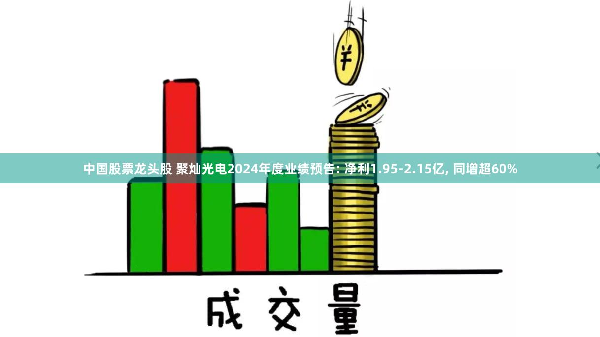 中国股票龙头股 聚灿光电2024年度业绩预告: 净利1.95-2.15亿, 同增超60%